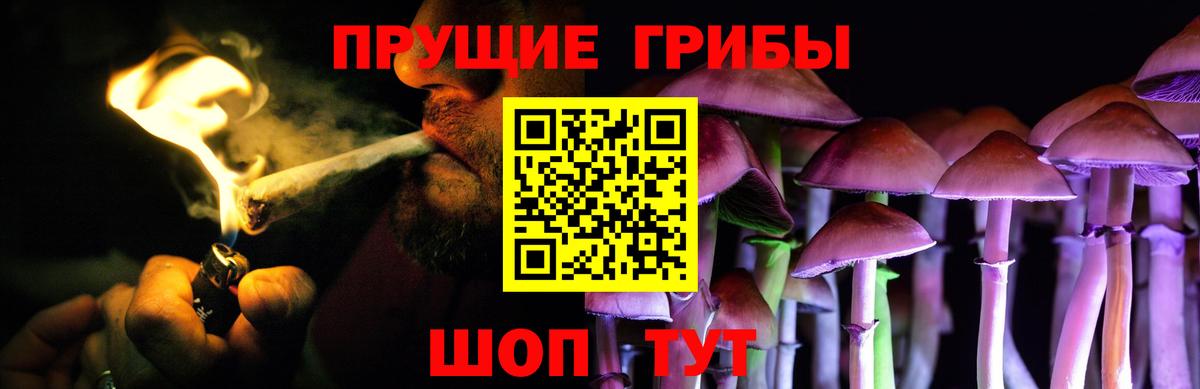 Клин  Псилоцибиновые грибы мухоморы  Вход с VPN  Псилоцибиновые грибы мухоморы 